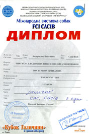 �� ��������