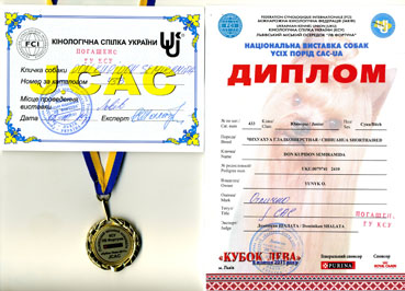 �� ��������