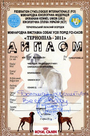 �� ��������