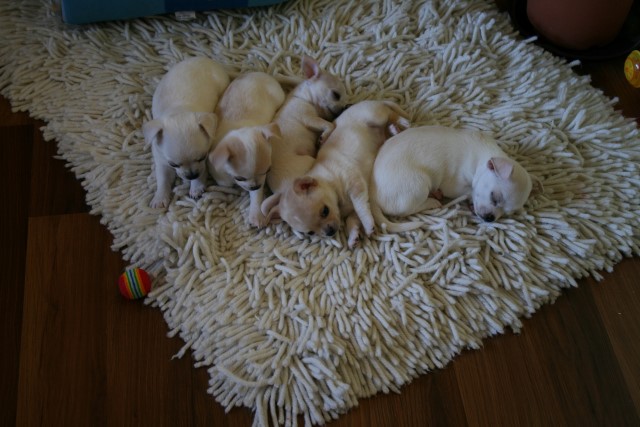 �� ������