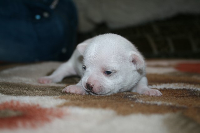 �� ������