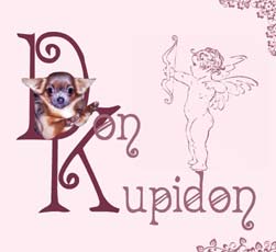 �������� �������� ��� �������. ������