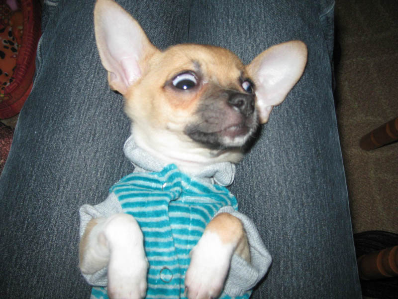 ��������...