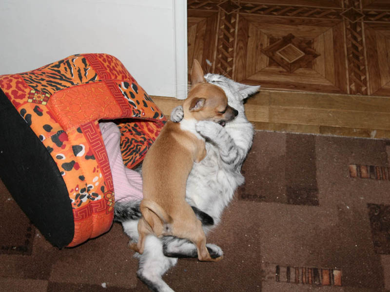 ��������