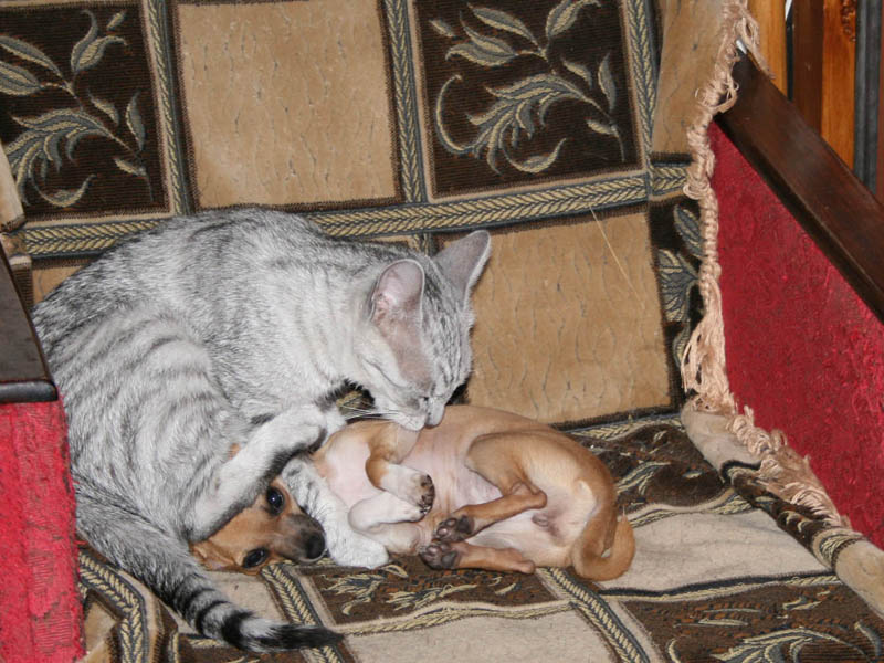 ��������