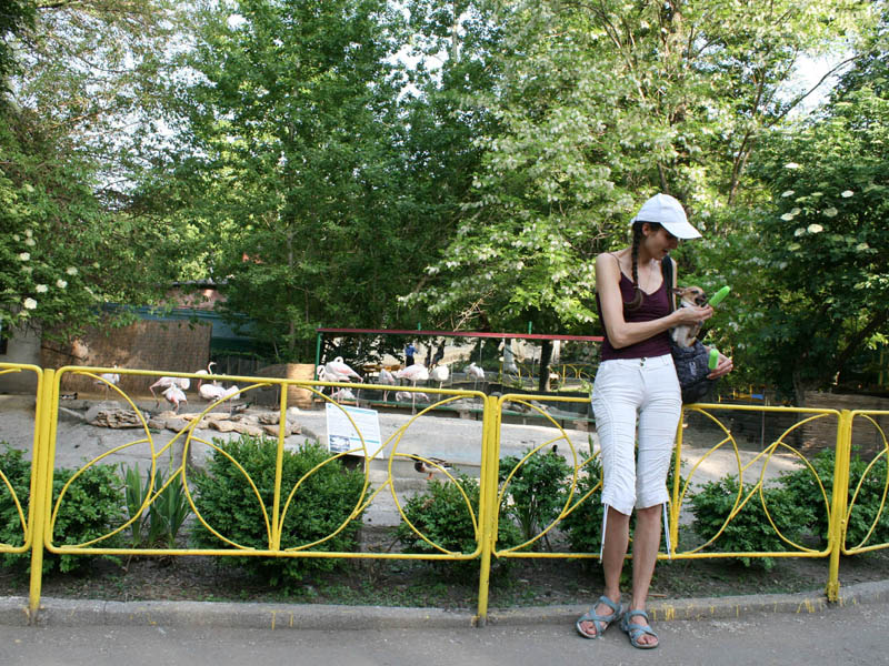 ��������