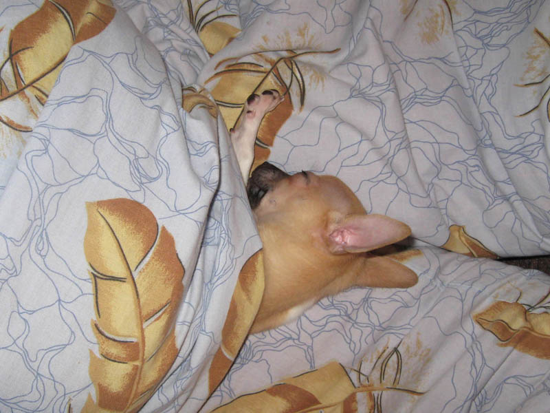 ��� � ����