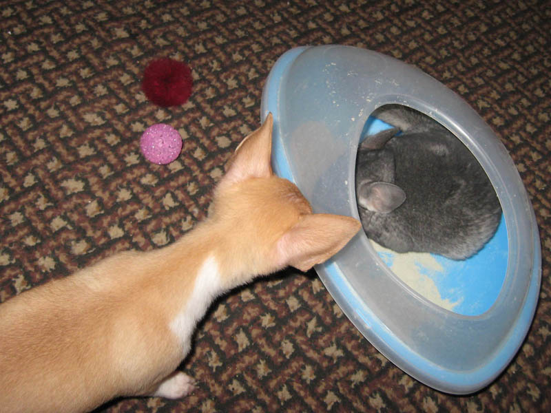 �������� �� ���������