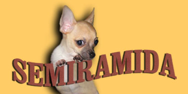 semiramida ��������
