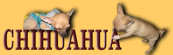 semiramida ��������