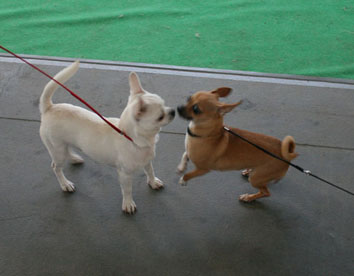 ��� ����� ����� :)